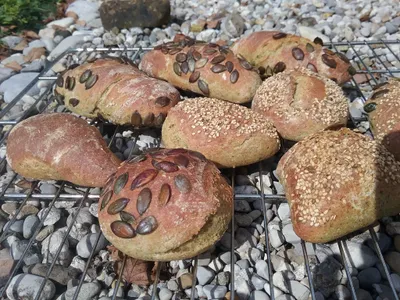 Dinkel Vollkorn Semmeln mit Kürbiskernmehl